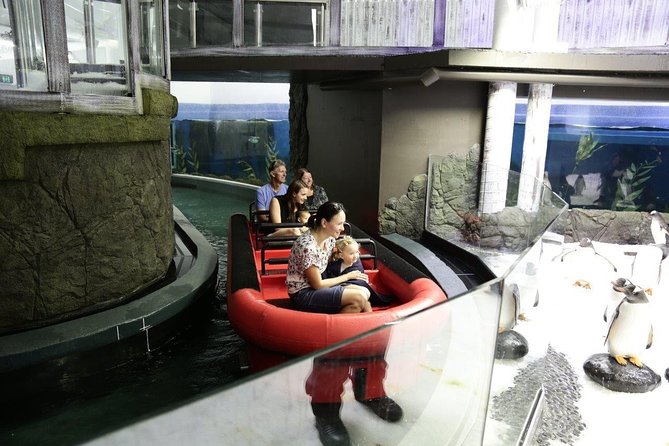 Sydney Attractions Pass: SEA LIFE Aquarium, Sydney Tower Eye, WILD LIFE Zoo and Madame Tussauds - Traveler Reviews and Feedback