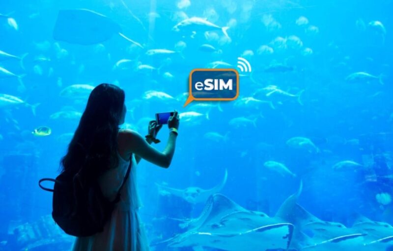 Sydney & Australia: Roaming Internet With Esim Mobile Data - Activation Process