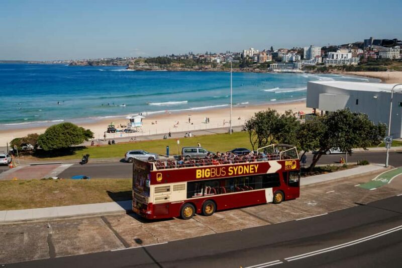 Sydney: Big Bus Hop-On Hop-Off Tour with Optional Cruise - How the Tour Works