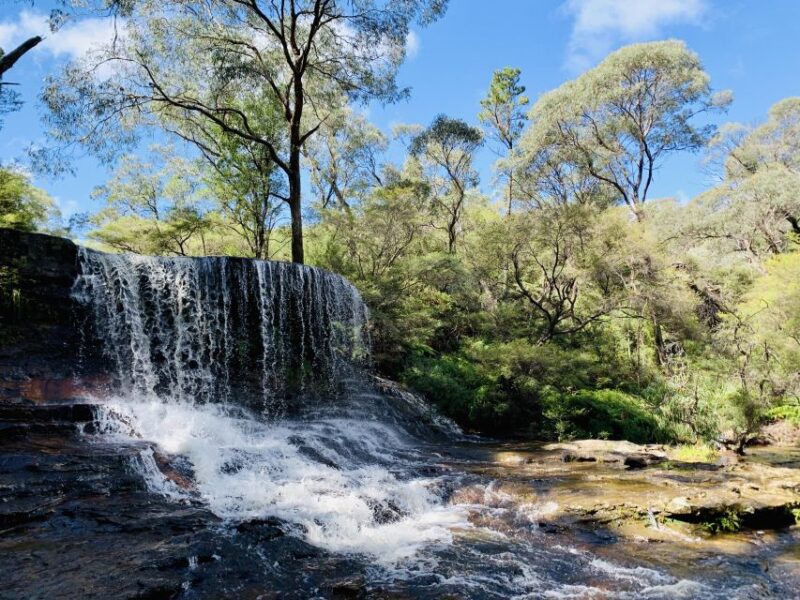 Sydney: Blue Mountains Featherdale and Wentworth Falls Tour - Key Points