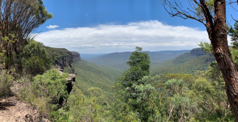 Sydney: Blue Mountains Featherdale and Wentworth Falls Tour - Featherdale Wildlife Park