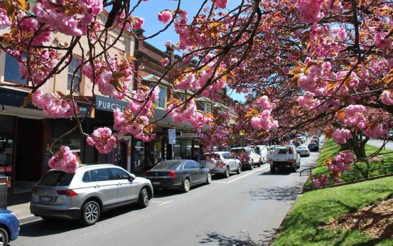 Sydney: Blue Mountains & Featherdale Wildlife Park Day Trip - Included in the Tour Package