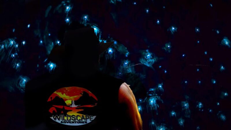 Sydney: Blue Mountains Glow Worms Wild Adventure by Night - Itinerary