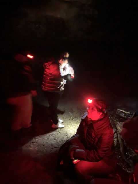 Sydney: Blue Mountains Glow Worms Wild Adventure by Night - Cancellation Policy