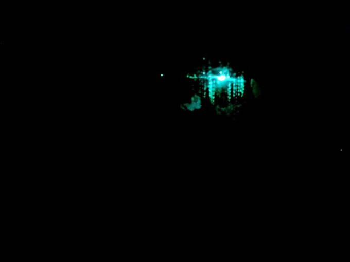 Sydney: Blue Mountains Glow Worms Wild Adventure by Night - Inclusions and Exclusions