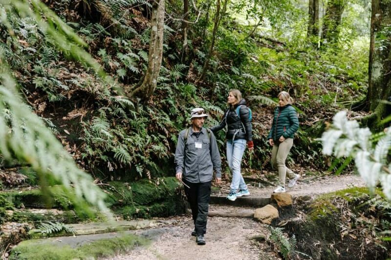 Sydney: Blue Mountains Tour with Wildlife Park & Waterfalls - What Are the Highlights?