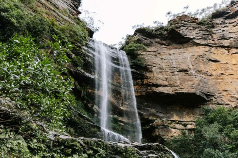 Sydney: Blue Mountains Tour with Wildlife Park & Waterfalls - Authenticity & Value