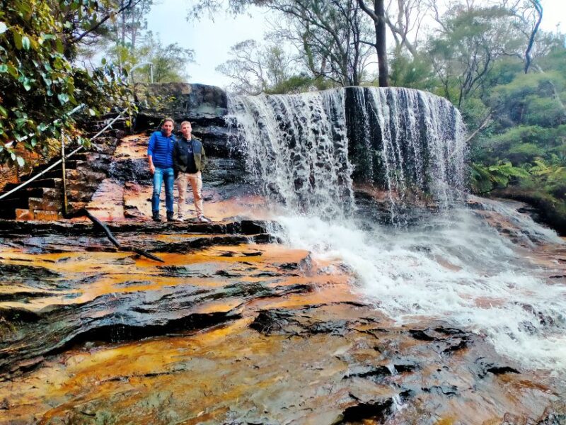 Sydney: Blue Mountains Waterfalls and Koalas Late Start Tour - Important Considerations