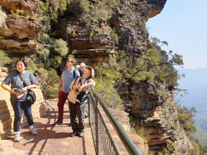 Sydney: Blue Mountains Waterfalls and Koalas Late Start Tour - Picnic Lunch and Dinner