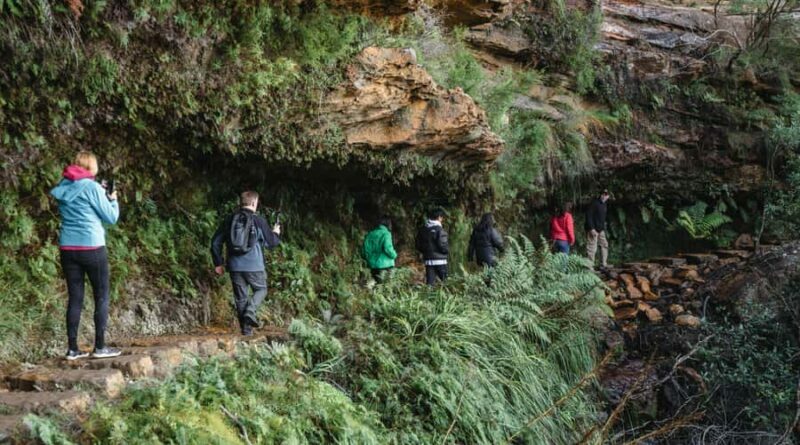 Sydney: Blue Mountains Wildlife & Bushwalk Small-Group Tour - Key Points