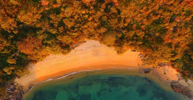 Sydney: BYO Picnic in Paradise for 2 - Key Points