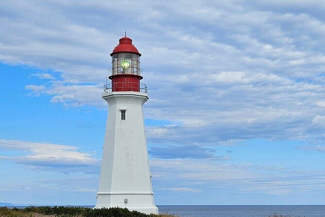 Sydney City & Coastline Tour - Who Will Appreciate This Tour?