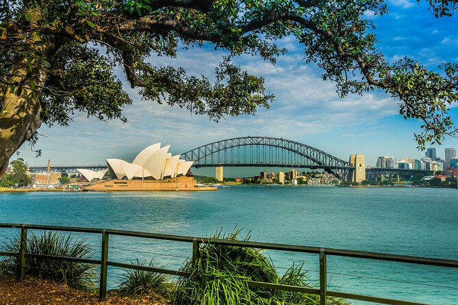 Sydney Combo: Morning Sightseeing to Bondi & Harbour Lunch Cruise - Inclusions and Transportation