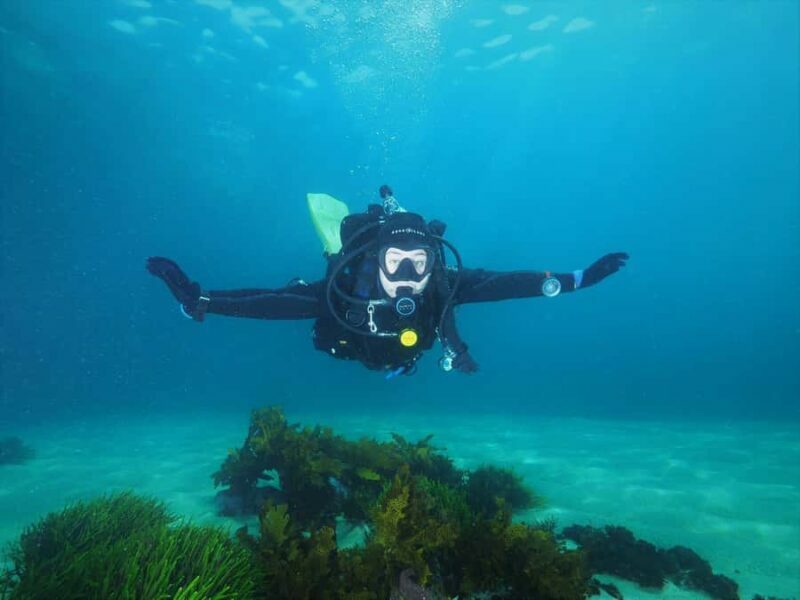 Sydney: Discover Scuba Dive at Australia's most Iconic Beach - An Engaging Introduction to Sydney’s Underwater World