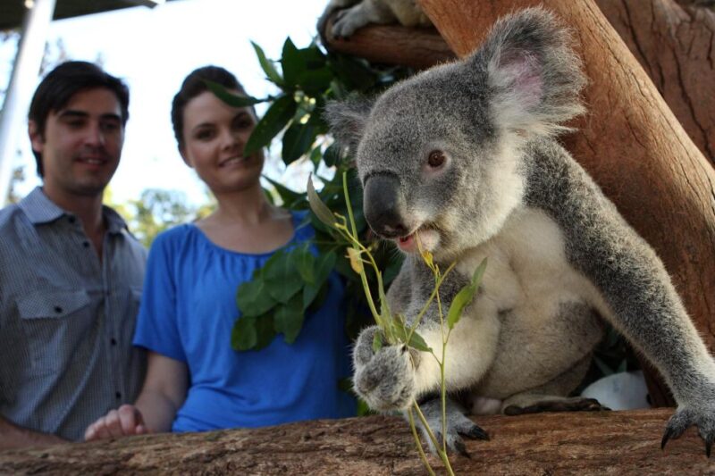 Sydney: Go City Explorer Pass - Save on 2 to 7 Attractions - Key Features of the Pass