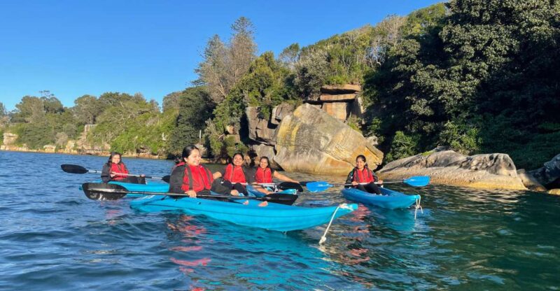 Sydney: Guided Kayak Tour of Manly Cove Beaches - Key Points