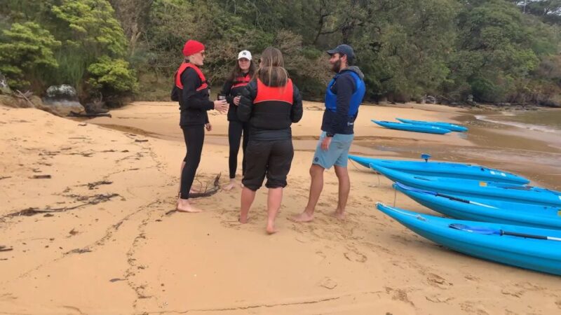 Sydney: Guided Kayak Tour of Manly Cove Beaches - Recap