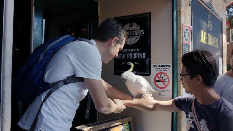 Sydney: Guided Walking Tour With Aussie Snacks and Drinks - Key Points