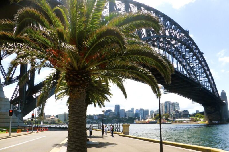 Sydney: Half-Day City Tour - Pickup and Dropoff