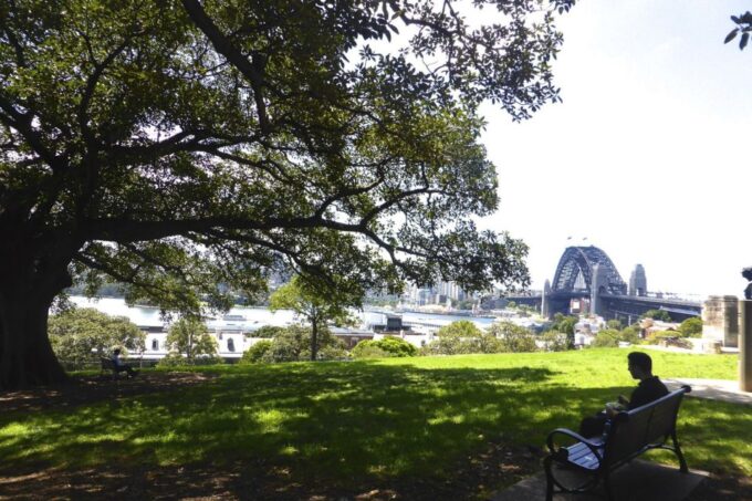 Sydney: Half-Day City Tour - Bus Tours and Scenic Drives