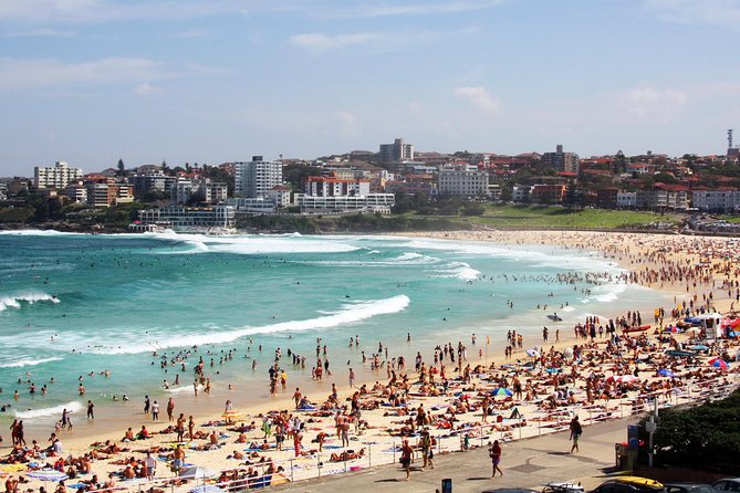 Sydney Half Day Private Tour: See Sydney Opera House and Bondi - Inclusions and Logistics