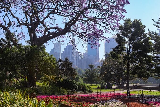 Sydney Half Day Tour With a Local: 100% Personalized & Private - Explore Sydneys Highlights