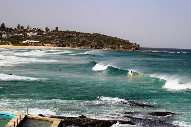Sydney Harbour, Manly and Palm Beach, National Park Private Tour - Taking in Ku-Ring-Gai Chase
