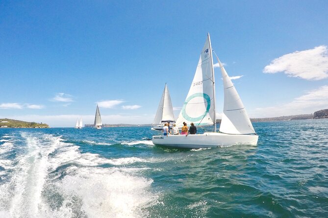 Sydney Harbour - Sailing Hands-On Experience - Reviews and Ratings