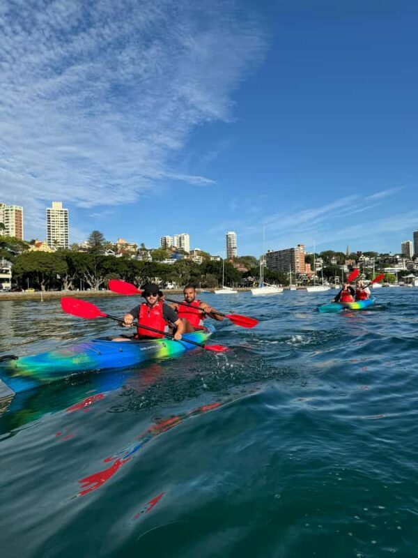 Sydney: Harbour Sunrise Kayak Tour - The Itinerary in Detail