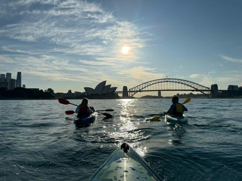 Sydney: Harbour Sunrise Kayak Tour - The Experience’s Highlights