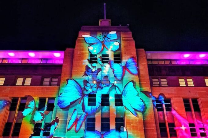 Sydney: Intimate Vivid Harbour Cruise With Canapes - Customer Reviews and Feedback