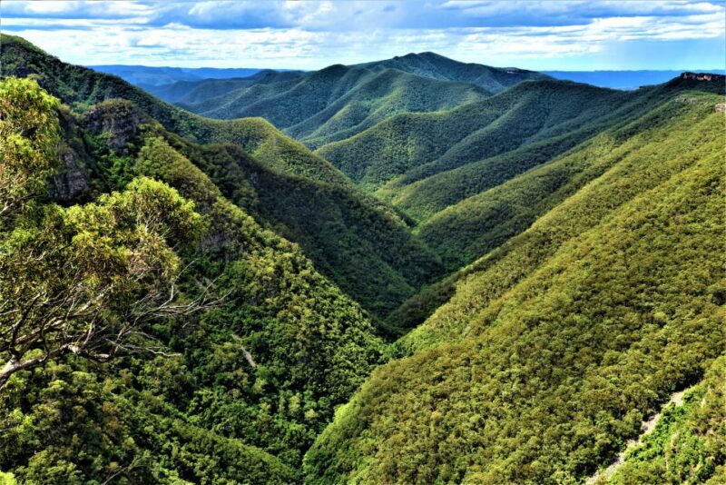 Sydney: Jenolan Caves Blue Mountains Day Tour & River Cruise - Scenic Cruise Along Parramatta River