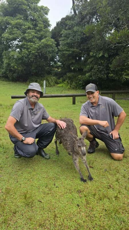 Sydney: Jervis Bay Day Trip with Dolphins, Roos & Beach Time - An In-Depth Look at the Jervis Bay Experience