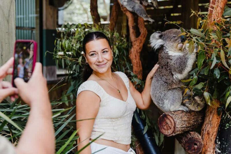 Sydney: Jervis Bay Tour with Beaches, Koalas & Kangaroos - Key Points