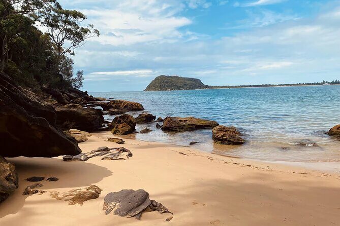 Sydney: Ku-ring-gai Chase National Park with Hike, Swim, Picnic - America Bay Lookout: A View Worth the Hike