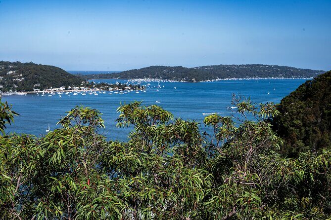 Sydney: Ku-ring-gai Chase National Park with Hike, Swim, Picnic - Practical Details: What You Need to Know