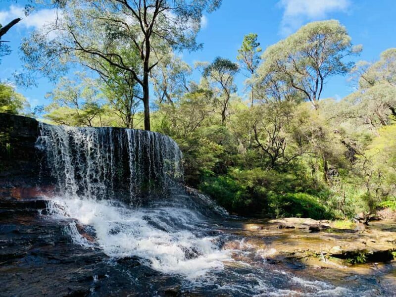 Sydney: Luxury Blue Mountains Adventure with Wentworth Falls - Starting Out: Comfort and Convenience