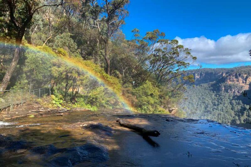 Sydney: Luxury Blue Mountains Adventure with Wentworth Falls - Tour Logistics and Value