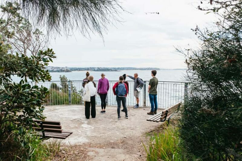 Sydney: Manly and Shelly Beach Snorkeling Tour - Key Points