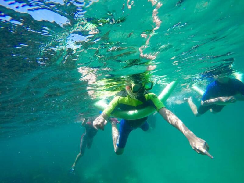 Sydney: Manly and Shelly Beach Snorkeling Tour - A Closer Look at the Experience