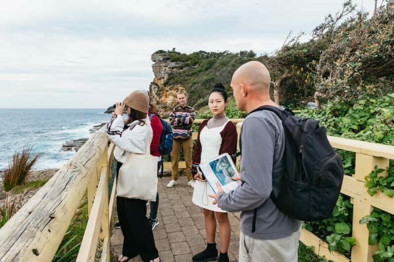 Sydney: Manly and Shelly Beach Snorkeling Tour - FAQs