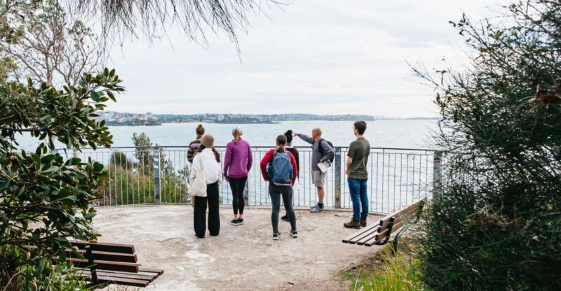 Sydney: Manly and Shelly Beach Snorkeling Tour - Key Points