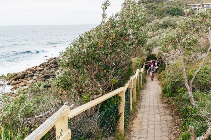 Sydney: Manly and Shelly Beach Snorkeling Tour - Itinerary and Activities