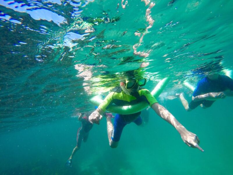 Sydney: Manly and Shelly Beach Snorkeling Tour - Inclusions