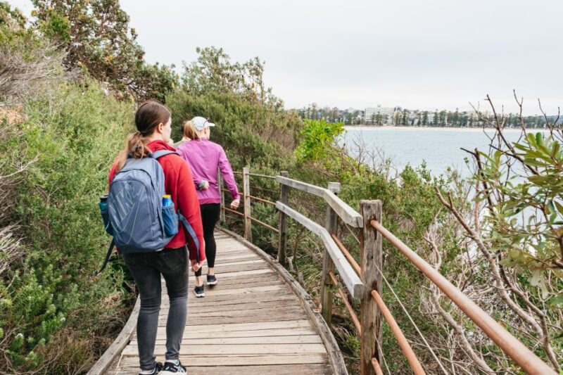 Sydney: Manly and Shelly Beach Snorkeling Tour - Customer Reviews