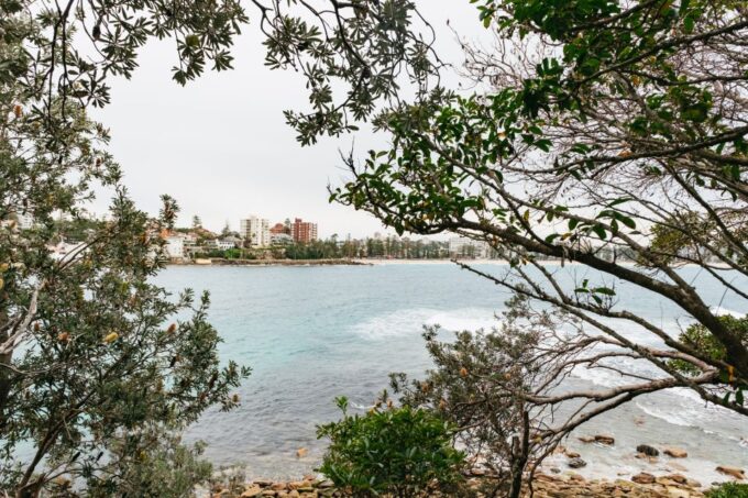 Sydney: Manly and Shelly Beach Snorkeling Tour - Recap