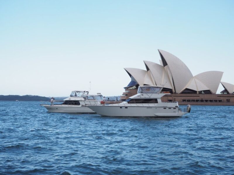 Sydney: Morning Cruise and Afternoon Panoramic City Tour - Exploring The Rocks Neighborhood