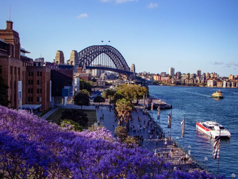 Sydney: Murder Mystery City Exploration Game - Recommended Group Dynamics