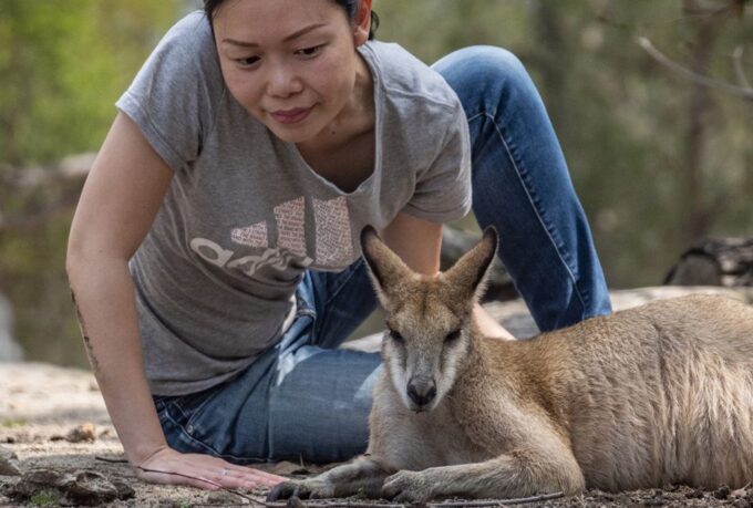 Sydney: Nature and Wildlife - Australia in One Day - Hidden Gem Exploration and Discovery