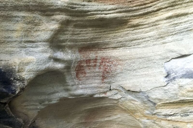 Sydney: Northern Beaches and Ku-ring-gai National Park Tour - Key Points